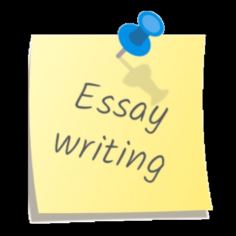 Can Someone Assist Me Write My Essay?